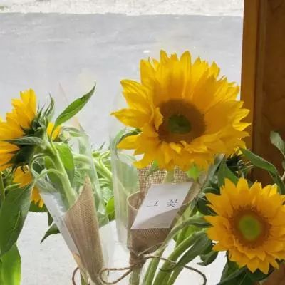 澳门新莆京游戏截图